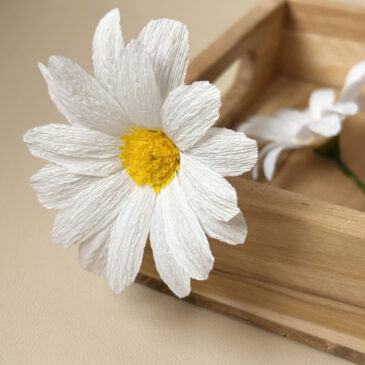 Bienvenue chez atelier Galeciane