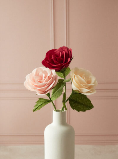 Rose Atelier Galéciane