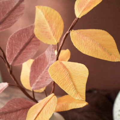 Feuille de Hêtre Collection Automne 2025 Atelier Galeciane