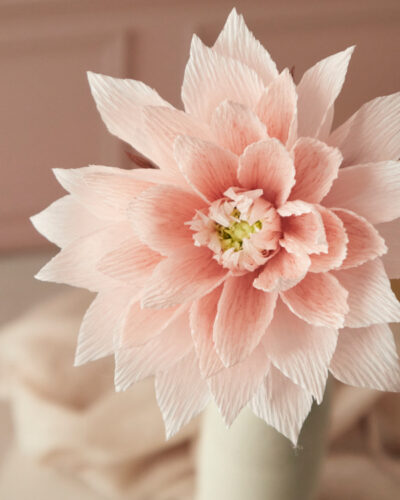 Dahlia Atelier Galeciane
