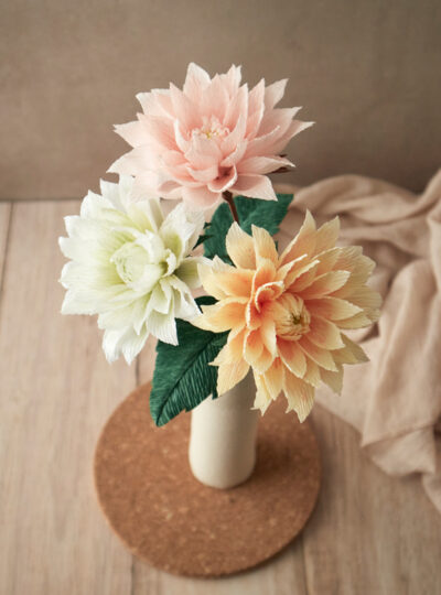 Dahlia Atelier Galeciane