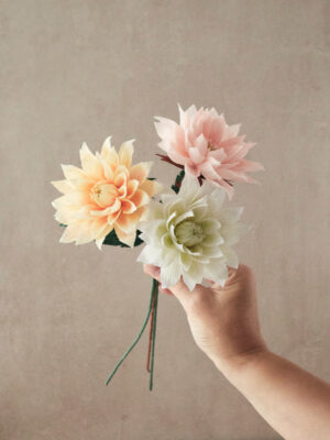 Dahlia Atelier Galeciane