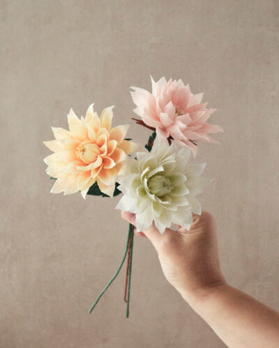 Dahlia Atelier Galeciane Dahlia Atelier Galeciane