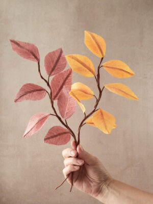 Feuille de Hêtre Collection Automne 2025 Atelier Galeciane