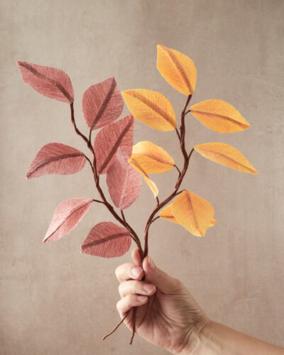 Feuille de Hêtre Collection Automne 2025 Atelier Galeciane