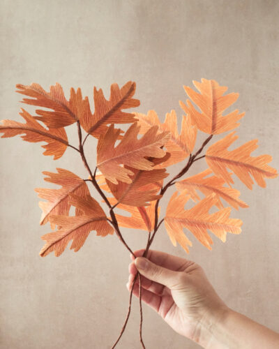 Feuille de Chêne Collection Automne 2025 Atelier Galeciane Feuille de Chêne Collection Automne 2025 Atelier Galeciane