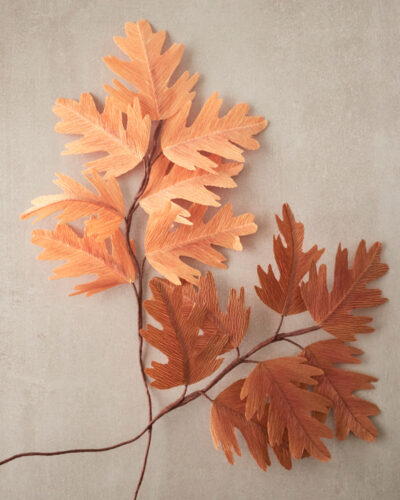 Feuille de Chêne Collection Automne 2025 Atelier Galeciane Feuille de Chêne Collection Automne 2025 Atelier Galeciane