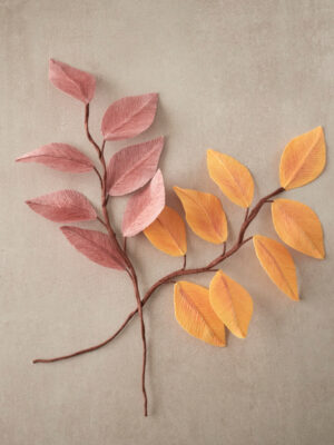 Feuille de Hêtre Collection Automne 2025 Atelier Galeciane