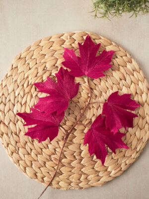 Feuille d'Erable Collection Automne 2025 Atelier Galeciane