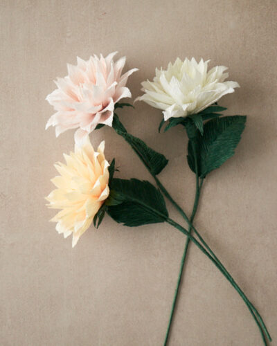 Dahlia Atelier Galeciane Dahlia Atelier Galeciane