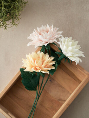 Dahlia Atelier Galeciane