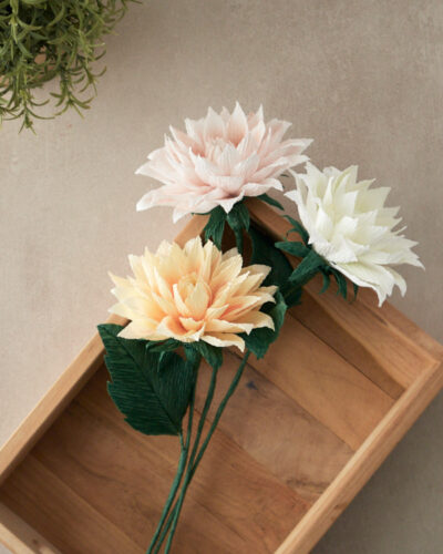 Dahlia Atelier Galeciane