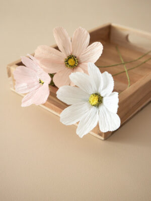 Cosmos Atelier Galeciane