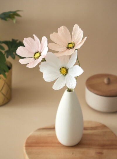 Cosmos Atelier Galeciane