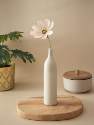 Cosmos Atelier Galeciane