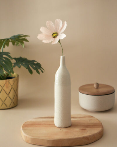 Cosmos Atelier Galeciane