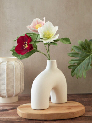 Hellebore Atelier Galéciane