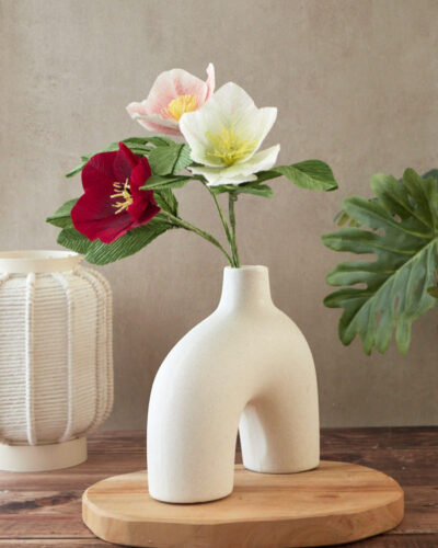 Hellebore Atelier Galéciane