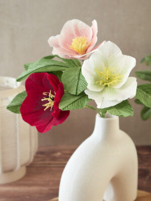 Hellebore Atelier Galéciane