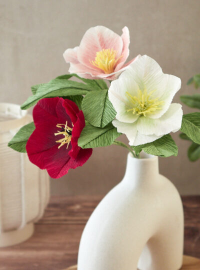 Hellebore Atelier Galéciane