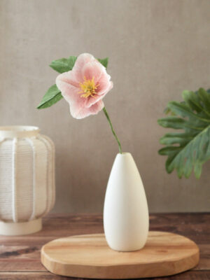 Hellebore Atelier Galéciane