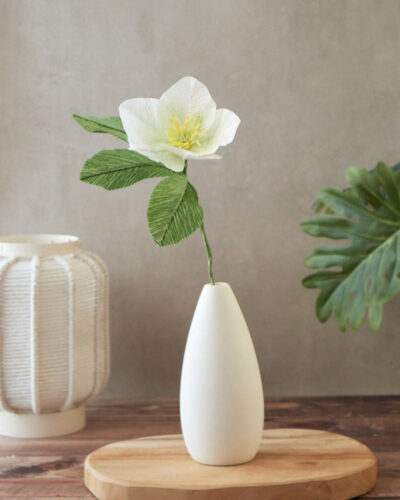 Hellebore Atelier Galéciane