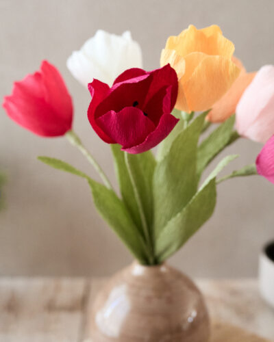 Collection Printemps MAJ-004-BD