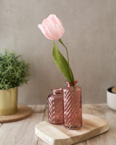 Collection Printemps MAJ-014-BD