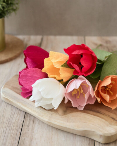 Collection Printemps MAJ-028-BD