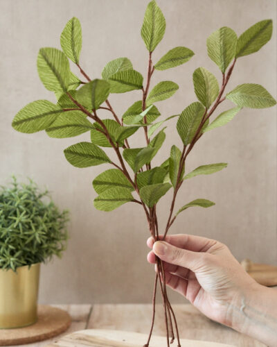 Collection Printemps MAJ-038-BD Collection Printemps MAJ-038-BD