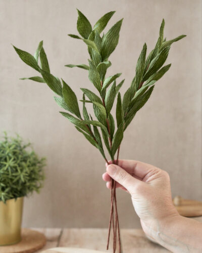 Collection Printemps MAJ-039-BD Collection Printemps MAJ-039-BD