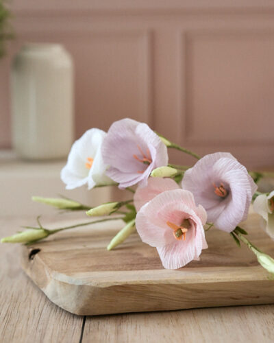 Collection Printemps MAJ-041-BD Collection Printemps MAJ-041-BD