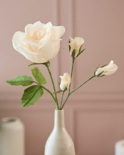 Collection Printemps MAJ-061-BD