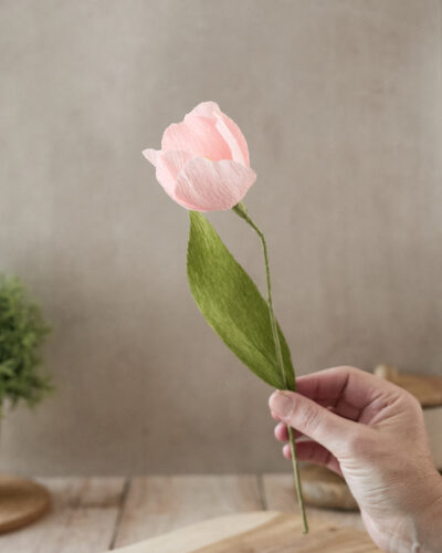 Tulipe Atelier Galéciane