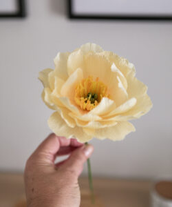 Pivoine Atelier Galeciane