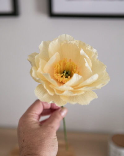 Pivoine Atelier Galeciane
