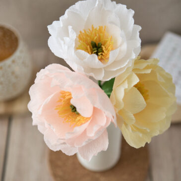 Pivoine Atelier Galeciane