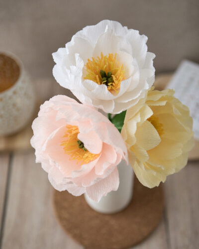 Pivoine Atelier Galeciane