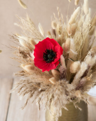 Coquelicot Atelier Galeciane