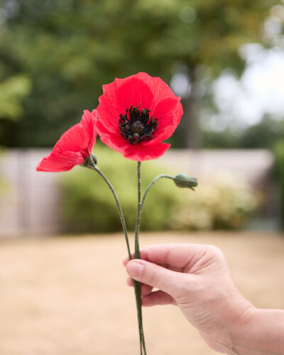 Coquelicot Atelier Galeciane